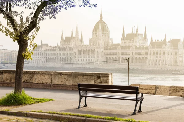 Maďarský Parlament Nábřeží Dunaje Budapešť Maďarsko Evropa — Stock fotografie