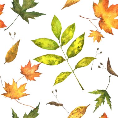 Sonbaharın kusursuz deseni beyaz arka planda parlak el boyalı yapraklar.