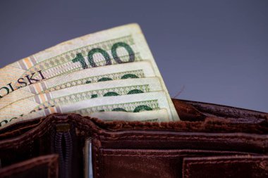 Kahverengi deri bir cüzdana yapışmış bir sürü Polonyalı banknot. Fotoğraf yapay, yumuşak ışık altında çekildi, gri, bulanık arkaplan. 
