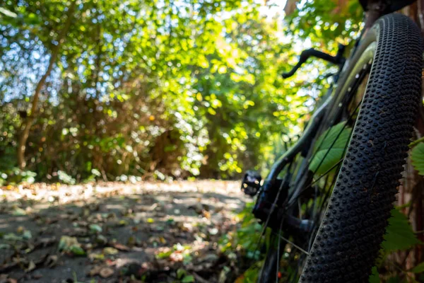 砂砾自行车轮胎在车道上靠在栅栏上的特写 冒险骑一辆严肃的自行车 在一个美丽的阳光灿烂的日子拍照 — 图库照片