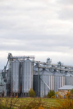 Tarlalardaki çelik tahıl ambarına yakın çekim. Fotoğraf doğal ışıklandırma, hafif ışık.