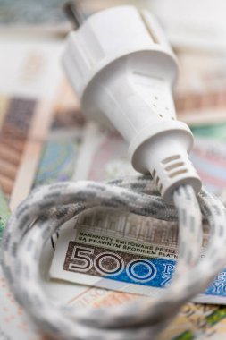 Electric cable with socket and many Polish banknotes. Rise of electricity price in Poland. Photo taken under artificial, soft light