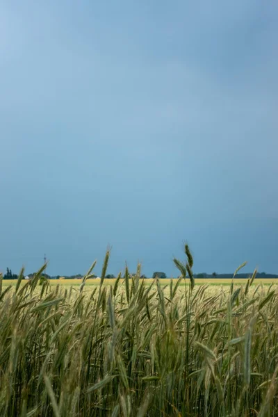 Oren Van Rogge Tegen Bewolkte Lucht Voor Naderende Storm Natuurlijk — Stockfoto