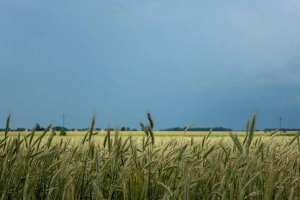 Oren Van Rogge Tegen Bewolkte Lucht Voor Naderende Storm Natuurlijk — Stockfoto
