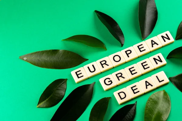 Вирок Європейська Зелена Угода Складається Букв Зеленому Фоні Зеленими Мережами — стокове фото