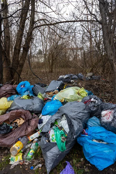 在森林里非法倾倒垃圾 森林里的垃圾在阴天 自然光条件下拍摄的照片 — 图库照片
