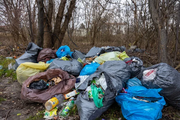 在森林里非法倾倒垃圾 森林里的垃圾在阴天 自然光条件下拍摄的照片 — 图库照片