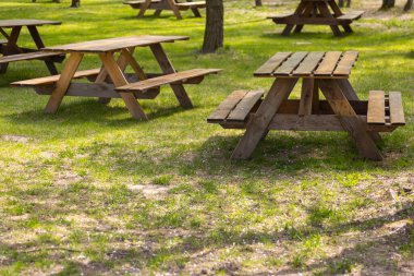 Kamp alanındaki masa ve banklar. Fotoğraf güneşli bir günde çekildi. Gölgeli bir yerde nesneler