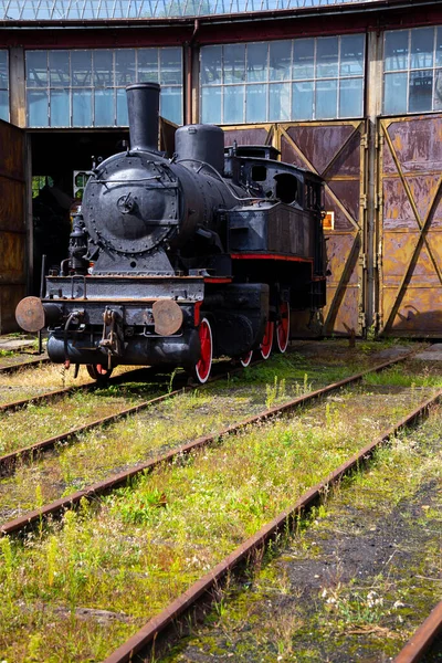 Eine Dampflokomotive Steht Vor Einem Historischen Lokschuppen Die Aufnahme Wurde — Stockfoto
