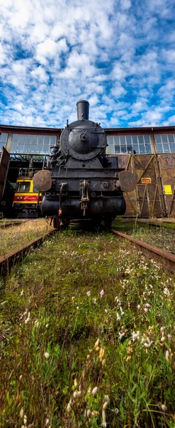 Parní Lokomotiva Stojící Před Historickou Lokomotivou Výstřel Byl Pořízen Přirozených — Stock fotografie