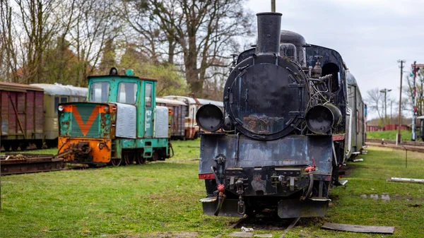 Una Vecchia Stretta Locomotiva Vapore Che Trova Alla Stazione Ferroviaria — Foto Stock