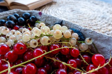 A composition of red, black and white currants in a basket on the background of a mat on the table. Natural, soft light