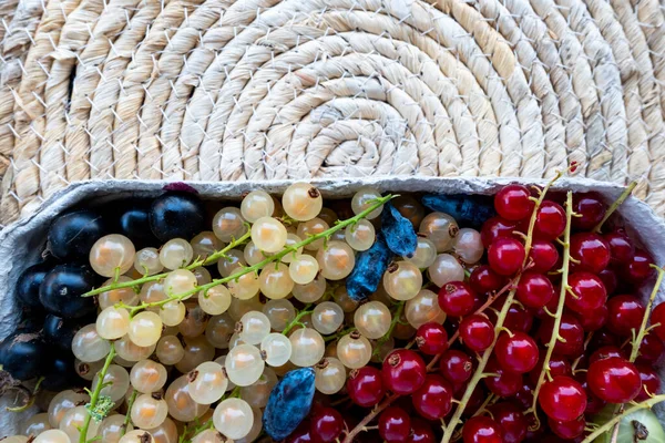 A composition of red, black and white currants in a basket on the background of a mat on the table. Natural, soft light