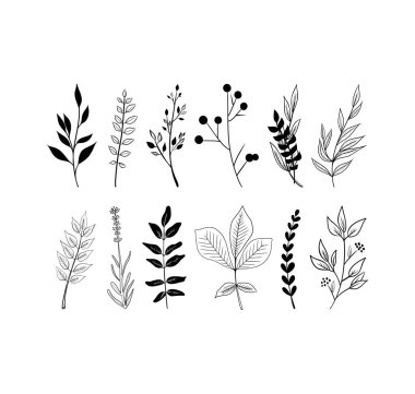 Vektör çizimi çizimi. Palmiye yaprakları. Devamlı çizgi çizimi. Vektör çizgisi çizimi. Palmiye yaprakları.