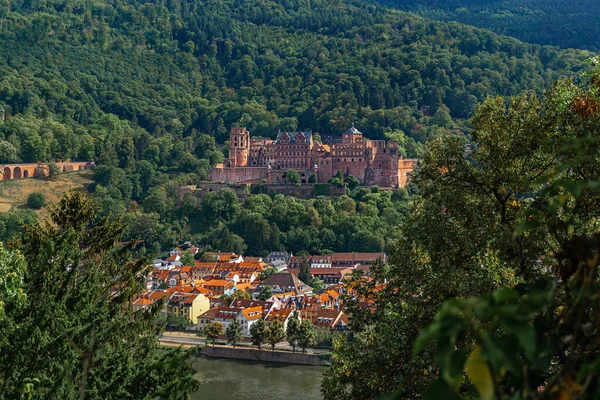 Blick Auf Heidelberger Altstadt Schloss Und Neckar Einem Sonnigen Tag — Stockfoto