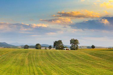 Little House on the Prairie. Wonderful image in nature. It creates peace with the green meadows and the beautiful blue sky.