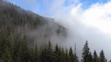 Bulutların arasında orman, dağlara tırmanan bir teleferiğin kulübesinden manzara.