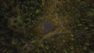 İnsansız hava aracı, kamerasıyla ormandaki bir gölete doğru döner.
