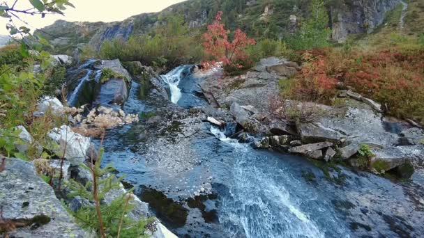 Prachtige Herfstkleuren Bergen Van Oostenrijk Waterval Slow Motion 120Fps — Stockvideo