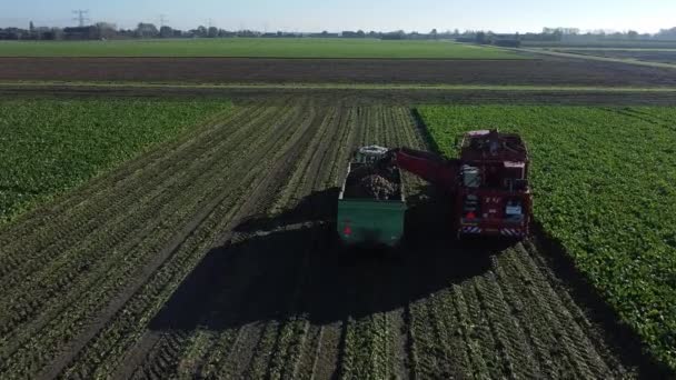 Une Cueilleuse Pommes Terre Tracteur Avec Camion Boîte Conduire Côte — Video