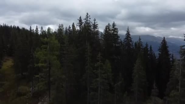 Eine Drohne Fliegt Aus Einem Dunklen Wald Und Blickt Einem — Stockvideo