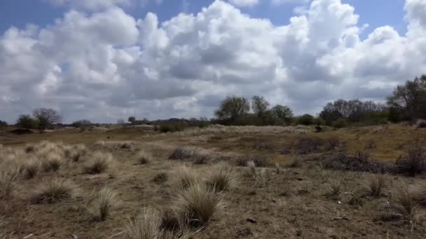 Ολλανδικό Τοπίο Αμμόλοφο Όμορφο Συννεφιασμένο Ουρανό Φόντο Πλάνα — Αρχείο Βίντεο