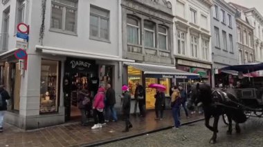 Belçika 'nın Bruges caddesinde ağır çekimde turist taşıyan bir at arabası geçiyor.
