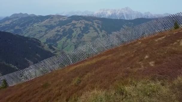 Flying Alpine Meadow Autumn Has Already Arrived — Stock videók