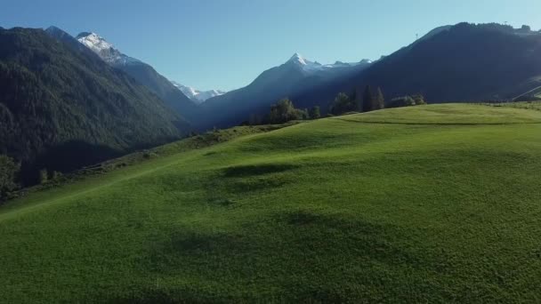 背景に雪の山のピークをかぶったオーストリアの緑の高山草原 — ストック動画