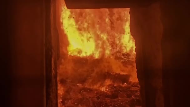 View Biomass Power Plant Waste Wood Furnace Slightly Out Focus — Wideo stockowe