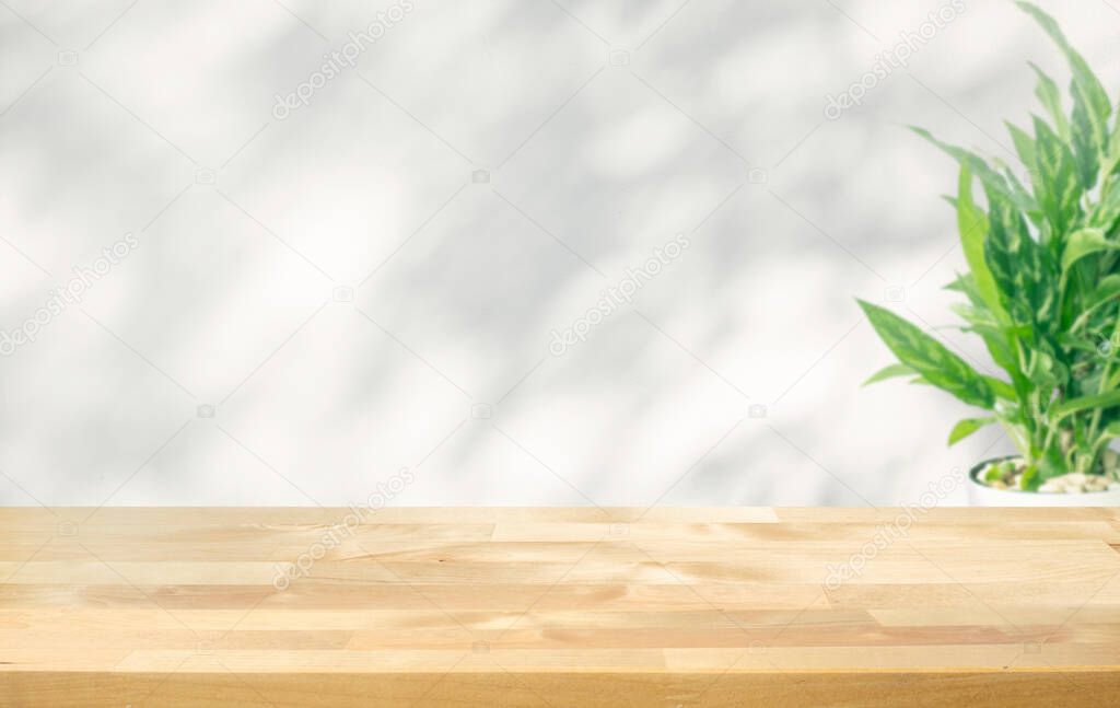 Selective focus.wood table top and plant pot and white background.cooy space