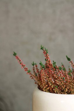 Masasında güzel çiçekler olan bir vazo. Vazoda pembe bir funda. Çiçekli bir saksı. Kurumuş çiçekler. Küçük çiçekler. İç kısımda bir çiçek. Tasarım.