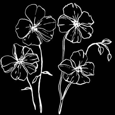 siyah ve beyaz desenli. Büyük desen. Çiçek elle çizimi. dövme, çizim, boyama