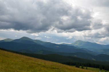Spruce Ormanı, yeşil çayır ve Chornohora sırtı üzerinde alçak bulutların altında alçak bulutların altında Hoverla ve Petros tepeleri. Karpat Dağları, Ukrayna