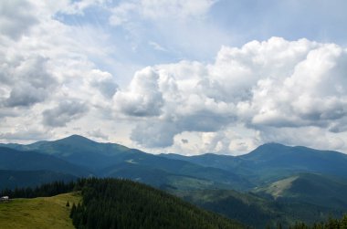 Spruce Ormanı, yeşil çayır ve Chornohora sırtı üzerinde alçak bulutların altında alçak bulutların altında Hoverla ve Petros tepeleri. Karpat Dağları, Ukrayna
