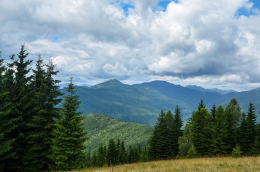 Spruce Ormanı 'nın ve Gorgany Tepesi' nin üzerinde alçak bulutların altında bulutlu Khomyak Dağı 'nın altında. Karpat Dağları, Ukrayna