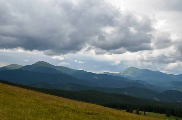 Widok Las Świerkowy Zieloną Łąkę Grzbiet Czarnohory Góry Hoverla Petros — Zdjęcie stockowe