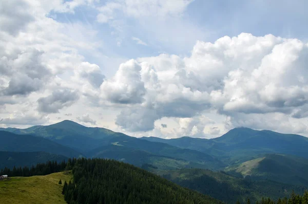 Blick Über Fichtenwald Grüne Wiese Und Chornohora Kamm Mit Dem — Stockfoto