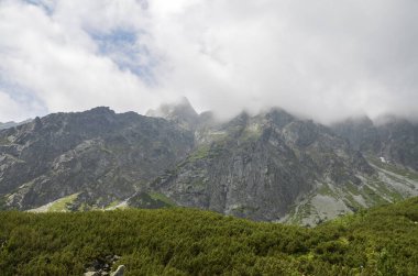 Slovakya 'daki yüksek Tatra dağlarının zirvelerinden biri ormanlık dağlar ve ağaçlarla çevrilidir.