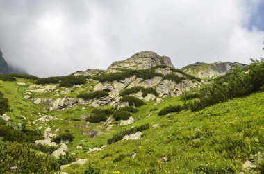 Slovakya 'daki yüksek Tatra dağlarının zirvelerinden biri ormanlık dağlar ve ağaçlarla çevrilidir.