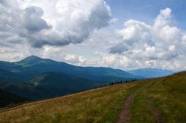 Sarı çayırlı tepeler Chornohora Dağları 'na karşı Chornohora Ormanı yakınlarında bulutlu gökyüzünün altında. Karpatlar, Ukrayna