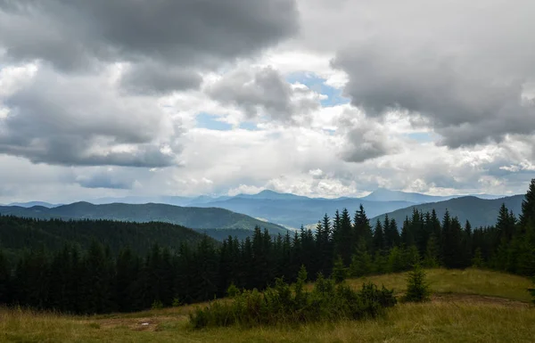Malerische Sommerliche Berglandschaft Mit Kiefern Unter Bewölktem Himmel Karpaten Reise — Stockfoto