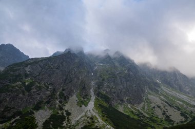 Slovakya 'daki High Tatras dağlarında kayalık dağ zirveleri olan güzel bir yaz manzarası. Yürüyüş macerası.