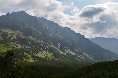 Slovakya 'daki High Tatras dağlarında kayalık dağ zirveleri olan güzel bir yaz manzarası. Yürüyüş macerası.