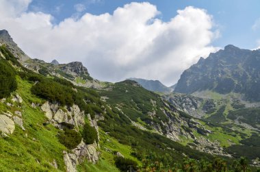 Slovakya 'daki High Tatras dağlarında kayalık dağ zirveleri olan güzel bir yaz manzarası. Yürüyüş macerası.