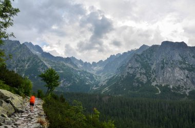 Slovakya 'daki High Tatras dağlarında yürüyüş parkurunda yürüyen turuncu sırt çantalı aktif genç kız.