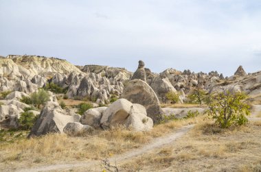 Goreme, Kapadokya, Türkiye 'deki' Peri Baca 'kaya oluşumlarının yer aldığı tuhaf bir vadideki volkanik manzaranın görüntüsü 