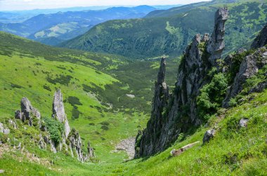 Shpytsi dağının keskin kaya kuleleriyle manzaralı. Chornohora sırtı, Karpatya dağları, Ukrayna. Seyahat konsepti. Popüler turizm merkezi