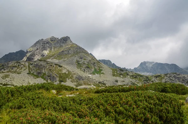Wysokie Skaliste Szczyty Tatrzańskiego Parku Narodowego Górską Doliną Niebem Chmurami — Zdjęcie stockowe