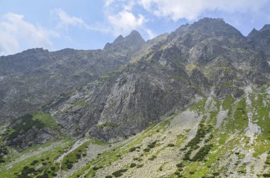 Görüntü, kuzey Slovakya 'daki High Tatra dağlarının çam ve kireçtaşı kayalarıyla tepelerini ve yamaçlarını gösteriyor.